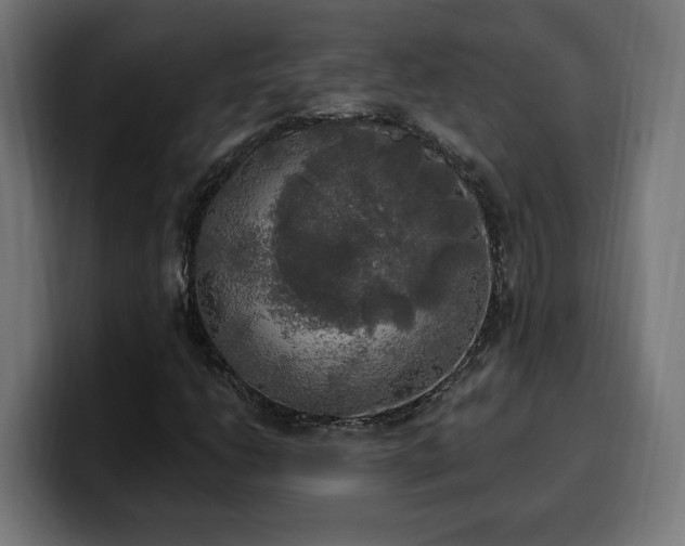 X0000100501206200806131429