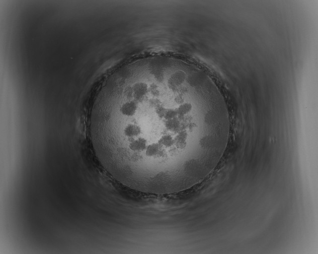 X0000100501207200806131429