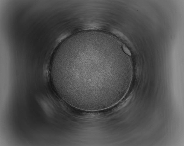 X0000100501210200806131429