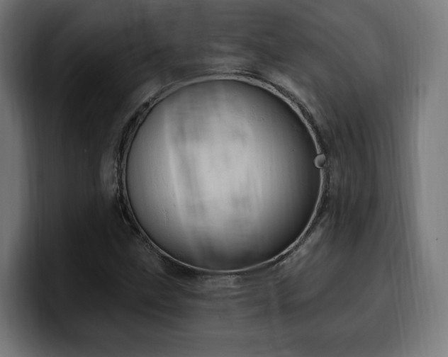 X0000100501211200806131429