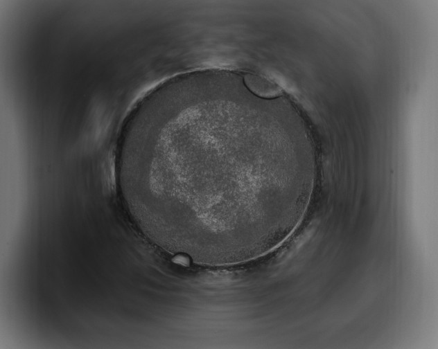 X0000100501214200806131429