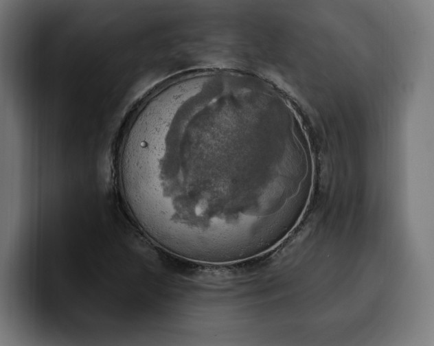 X0000100501215200806131430