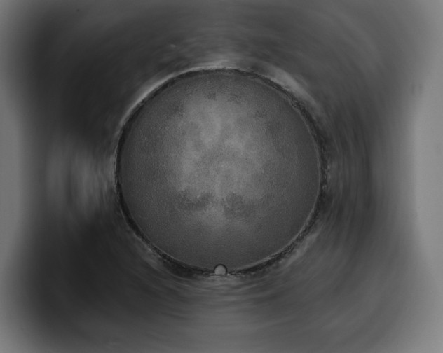 X0000100501216200806131430