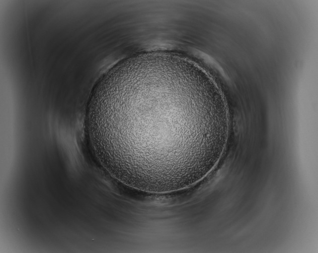 X0000100501217200806131430