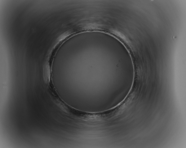 X0000100501219200806131430