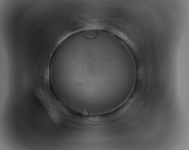 X0000100501220200806131430