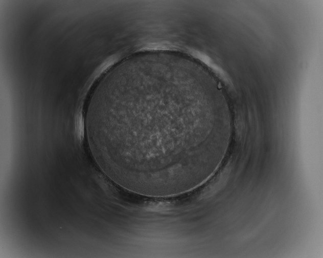 X0000100501221200806131430