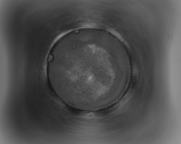 X0000100501222200806131430