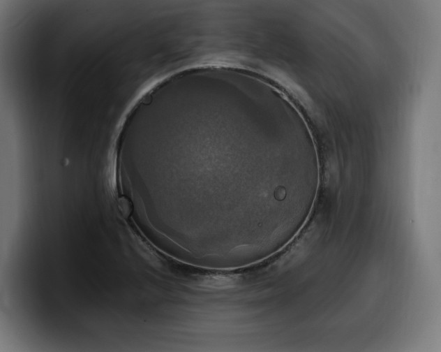 X0000100501224200806131430