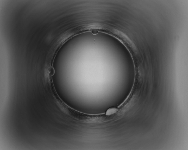 X0000100501225200806131430