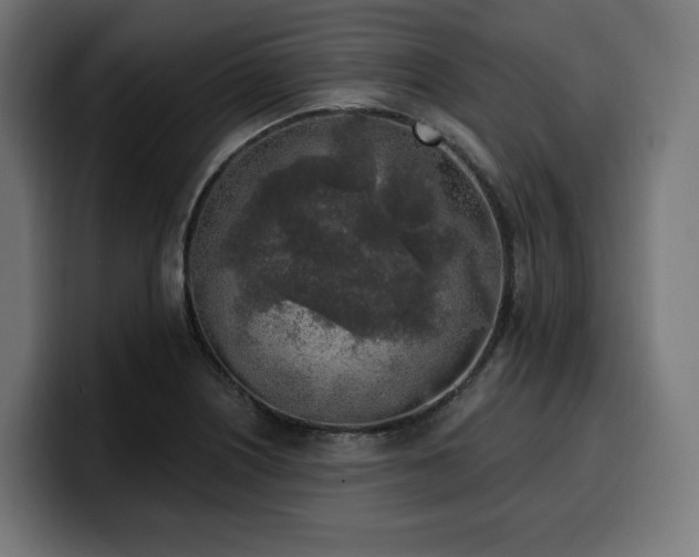 X0000100501226200806131430