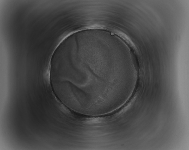 X0000100501228200806131430