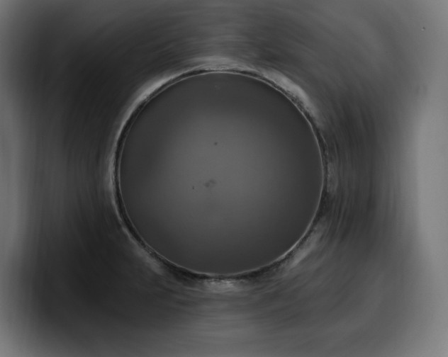 X0000100501231200806131430