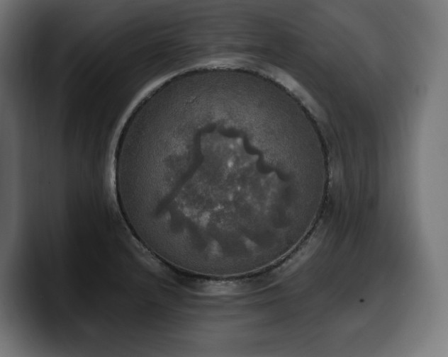 X0000100501232200806131430