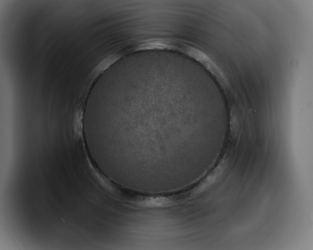 X0000100501233200806131430