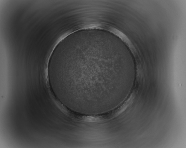 X0000100501234200806131430