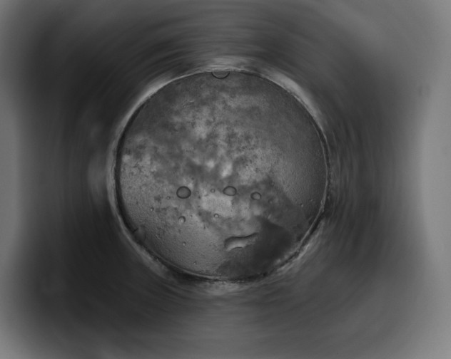 X0000100501235200806131430