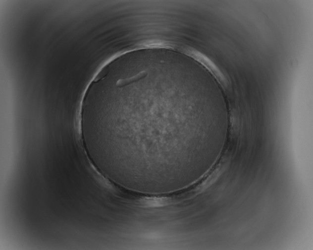 X0000100501236200806131430