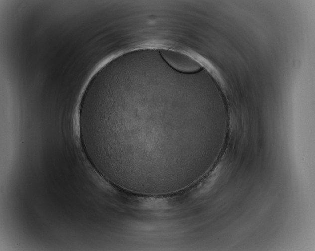 X0000100501238200806131430