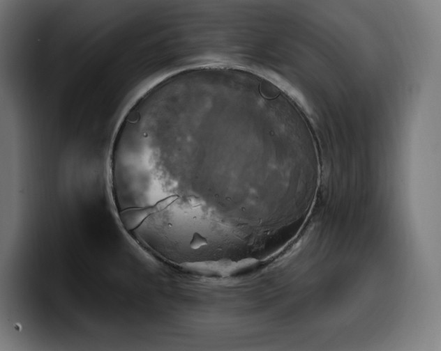 X0000100501239200806131430