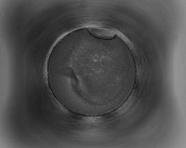 X0000100501240200806131430