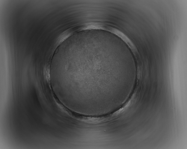 X0000100501241200806131430