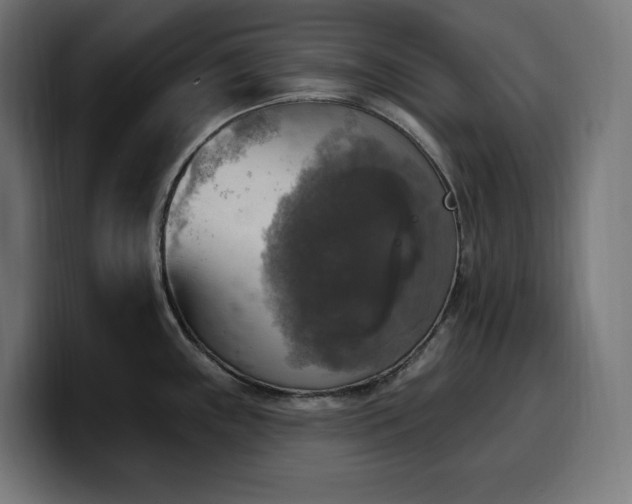 X0000100501243200806131430