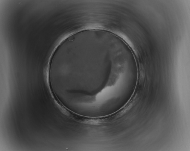 X0000100501245200806131430