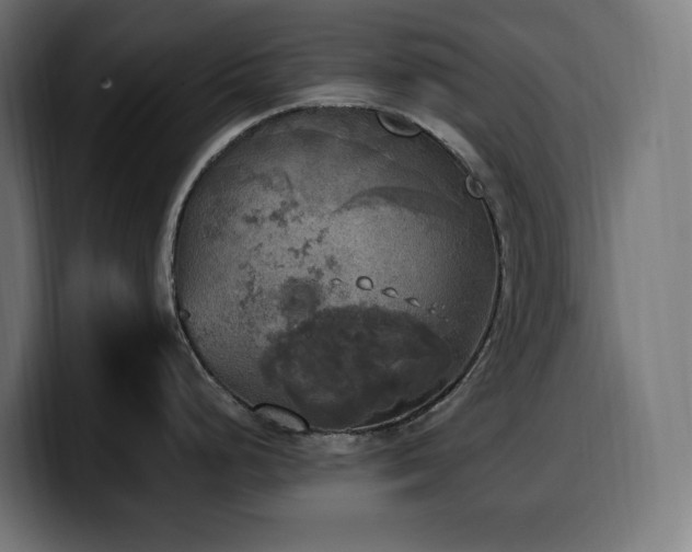 X0000100501248200806131430