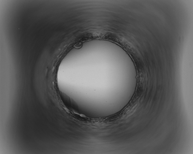 X0000100501249200806131429