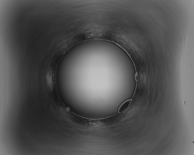 X0000100501250200806131429