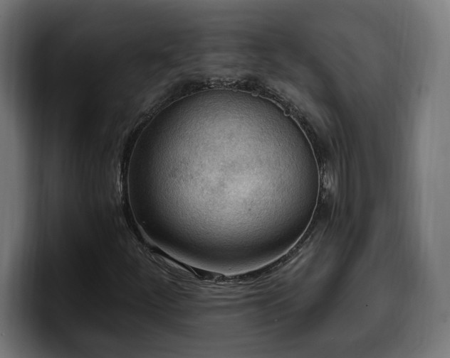 X0000100501252200806131429