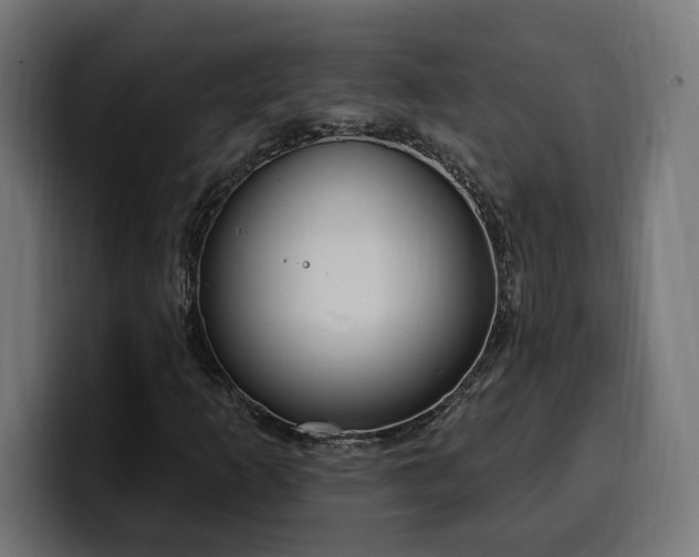 X0000100501253200806131429