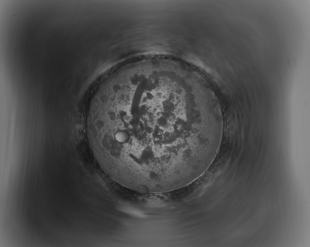 X0000100501255200806131429