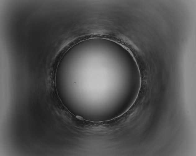 X0000100501256200806131429