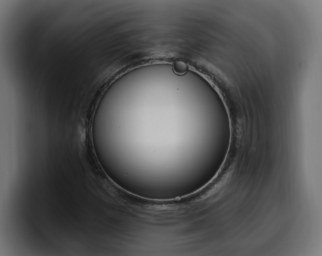 X0000100501257200806131429