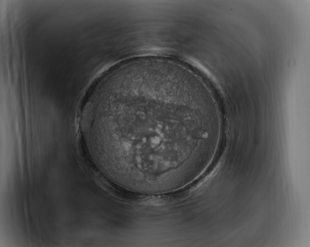 X0000100501259200806131429