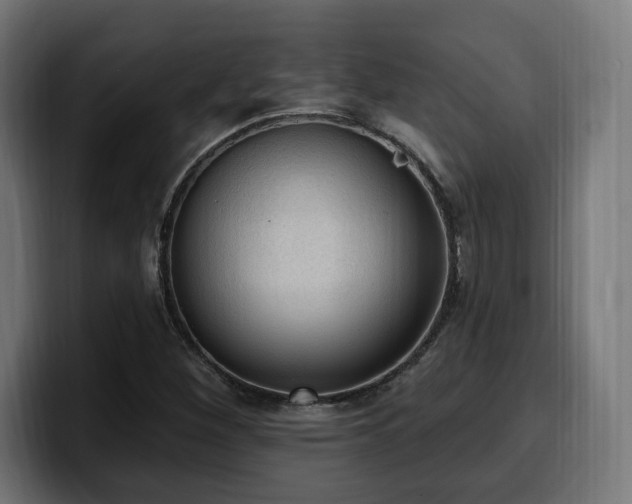 X0000100501260200806131429