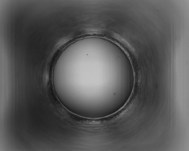 X0000100501261200806131429