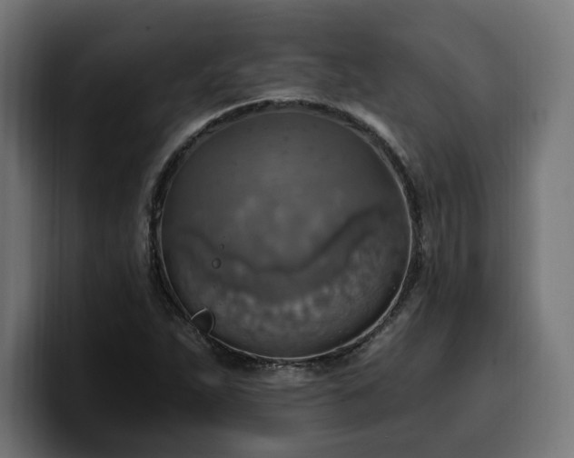 X0000100501263200806131429