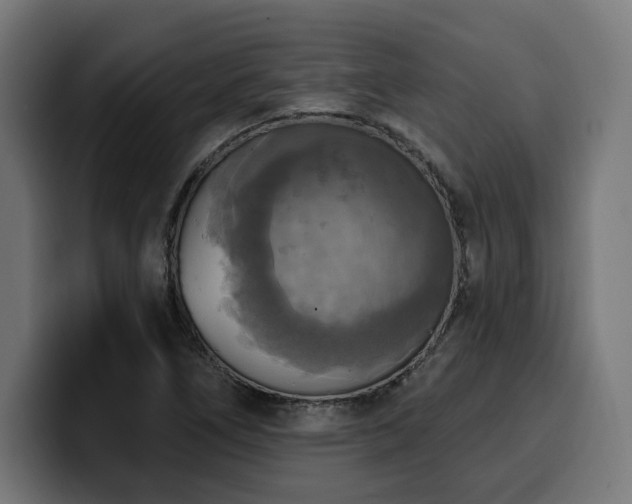 X0000100501266200806131429