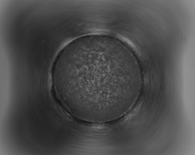 X0000100501267200806131429