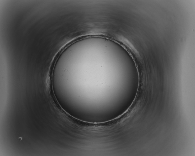 X0000100501268200806131429