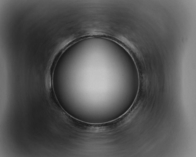 X0000100501269200806131429