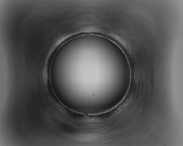 X0000100501270200806131429