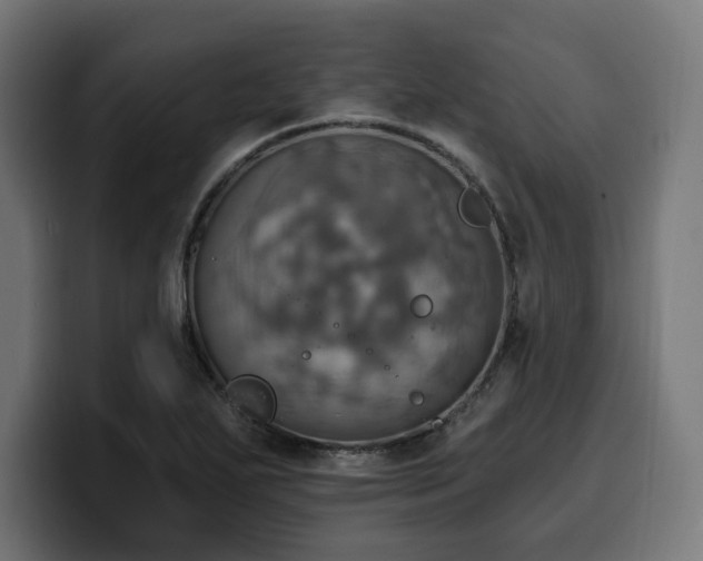 X0000100501271200806131429