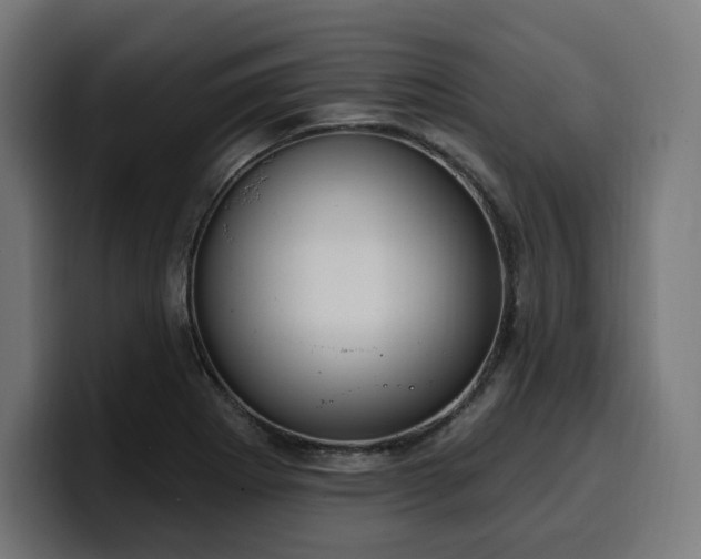 X0000100501273200806131429