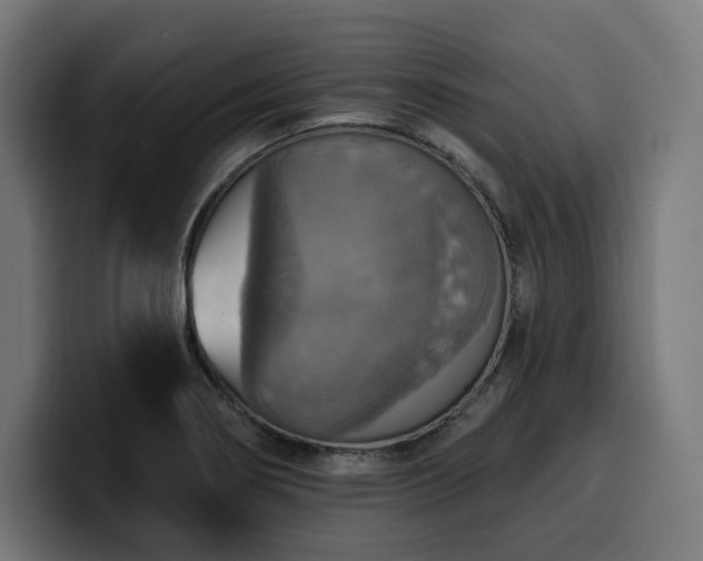 X0000100501274200806131429