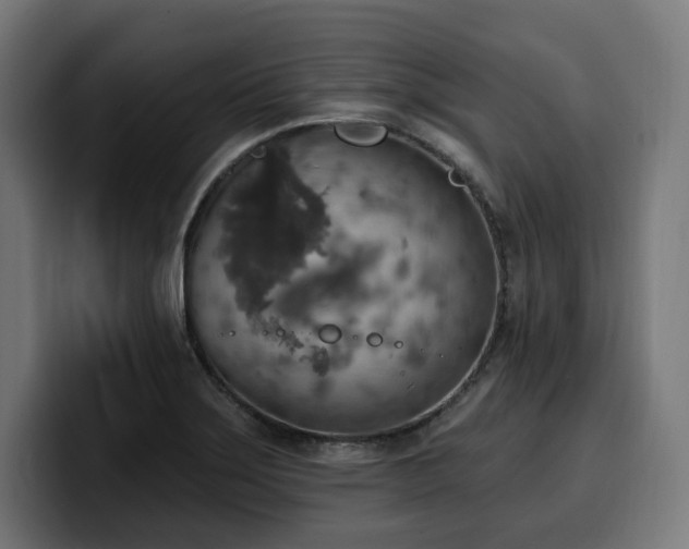 X0000100501275200806131429