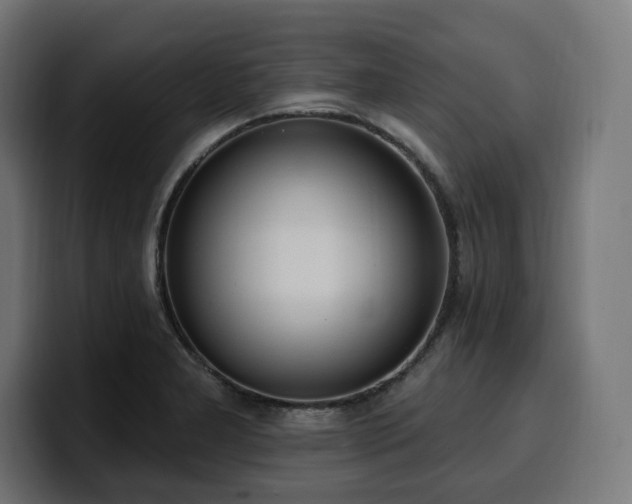 X0000100501277200806131429